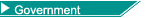 Government Portfolio